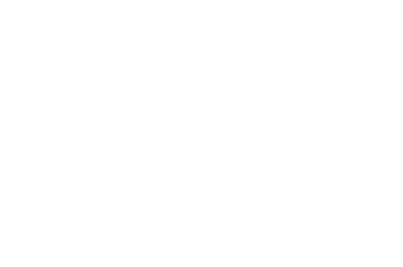 TH Logo [white]